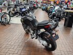 Thumbnail Photo 4 for New 2024 Moto Guzzi Stelvio