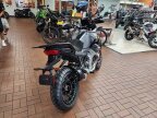 Thumbnail Photo 2 for New 2024 Moto Guzzi Stelvio