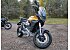 New 2024 Moto Guzzi Stelvio