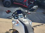Thumbnail Photo 6 for New 2024 Moto Guzzi V100