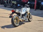 Thumbnail Photo 2 for New 2024 Moto Guzzi V100