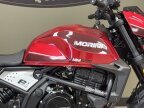 Thumbnail Photo 3 for New 2024 Moto Morini Seiemmezzo STR