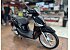 New 2024 Piaggio Liberty 50