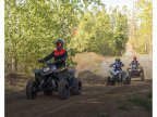 Thumbnail Photo 4 for 2024 Polaris Phoenix 200