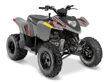 New 2024 Polaris Phoenix 200
