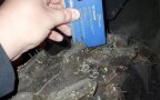 Thumbnail Photo 5 for 2024 Polaris RZR 900 Ultimate Trail