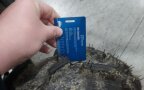 Thumbnail Photo 6 for 2024 Polaris RZR 900 Ultimate Trail