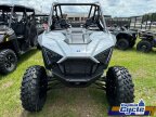 Thumbnail Photo 1 for New 2024 Polaris RZR Pro XP Sport