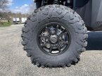 Thumbnail Photo 2 for 2024 Polaris RZR Pro XP