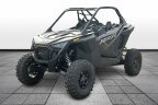 Thumbnail Photo 2 for New 2024 Polaris RZR Pro XP