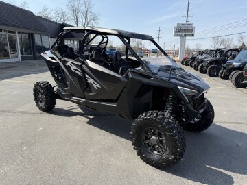 2024 Polaris RZR Pro XP Sport