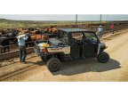 Thumbnail Photo 4 for New 2024 Polaris Ranger Crew XD 1500