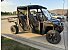 2024 Polaris Ranger Crew XP 1000 Texas Edition