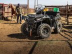 Thumbnail Photo 3 for 2024 Polaris Sportsman 450