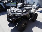 Thumbnail Photo 5 for New 2024 Polaris Sportsman 570 EPS