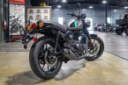 Thumbnail Photo 3 for New 2024 Royal Enfield Hunter 350