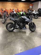 New 2024 Suzuki GSX-8S