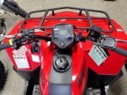 Thumbnail Photo 1 for New 2024 Suzuki KingQuad 400 FSi