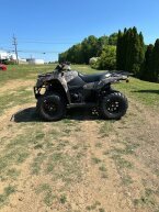 Thumbnail Photo 2 for New 2024 Suzuki KingQuad 400