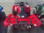 Thumbnail Photo 3 for New 2024 Suzuki KingQuad 750 AXi
