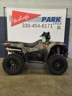 Thumbnail Photo 1 for New 2024 Suzuki KingQuad 750