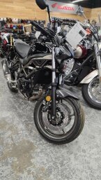 Thumbnail Photo 1 for New 2024 Suzuki SV650