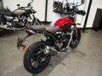 Thumbnail Photo 1 for New 2024 Triumph Scrambler 400 X