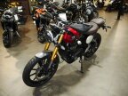 Thumbnail Photo 6 for New 2024 Triumph Scrambler 400 X