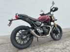 Thumbnail Photo 6 for New 2024 Triumph Scrambler 400 X