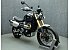 2024 Triumph Scrambler 1200 XE