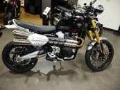 New 2024 Triumph Scrambler 1200 XE