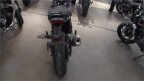 Thumbnail Photo 6 for New 2024 Triumph Speed 400