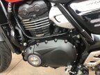 Thumbnail Photo 3 for 2024 Triumph Speed 400