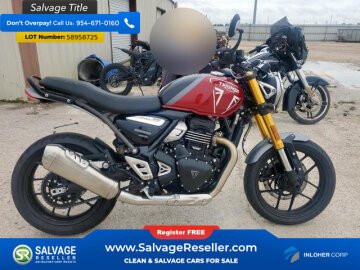 2024 Triumph Speed 400