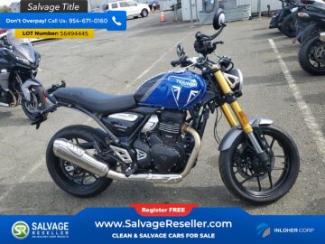 2024 Triumph Speed 400