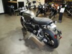Thumbnail Photo 3 for New 2024 Triumph Speed Twin