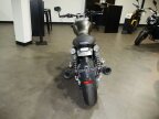 Thumbnail Photo 2 for New 2024 Triumph Speed Twin