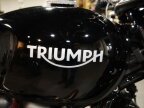 Thumbnail Photo 6 for New 2024 Triumph Speed Twin