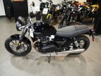 Thumbnail Photo 4 for New 2024 Triumph Speed Twin