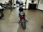 Thumbnail Photo 2 for New 2024 Triumph Speed Twin