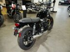 Thumbnail Photo 1 for New 2024 Triumph Speed Twin