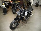 Thumbnail Photo 5 for New 2024 Triumph Speed Twin