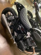 Thumbnail Photo 3 for 2024 Triumph Speed Twin