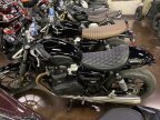 Thumbnail Photo 5 for 2024 Triumph Speed Twin
