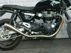 Thumbnail Photo 2 for New 2024 Triumph Speed Twin