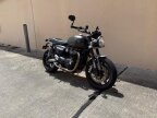 Thumbnail Photo 1 for 2024 Triumph Speed Twin