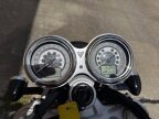 Thumbnail Photo 3 for 2024 Triumph Speed Twin
