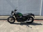 Thumbnail Photo 5 for New 2024 Triumph Speed Twin