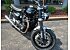 2024 Triumph Speed Twin