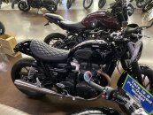 2024 Triumph Speed Twin